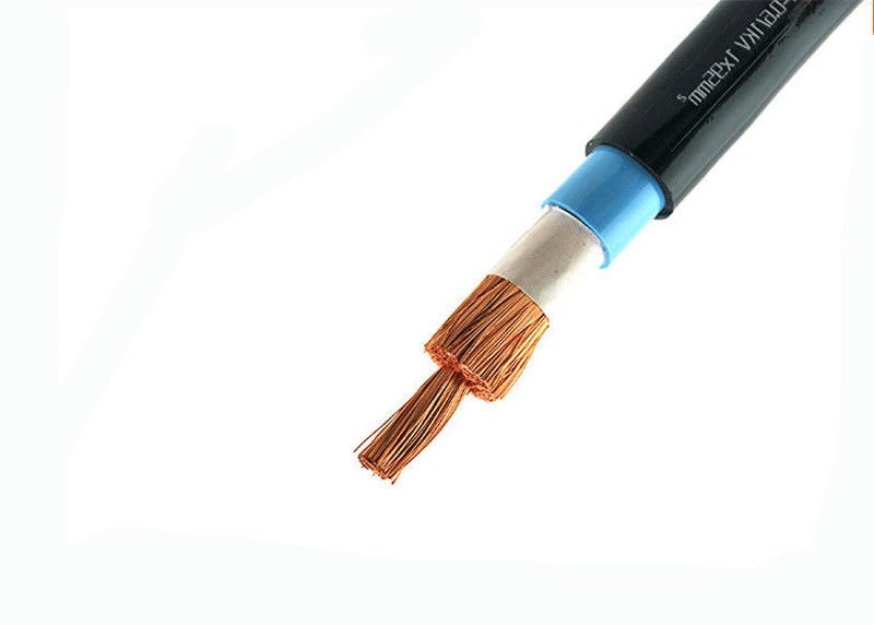 Heavy Duty PVC Insulated Power Cable 1*10 Sq. Mm 600 / 1000 V Eco Friendly